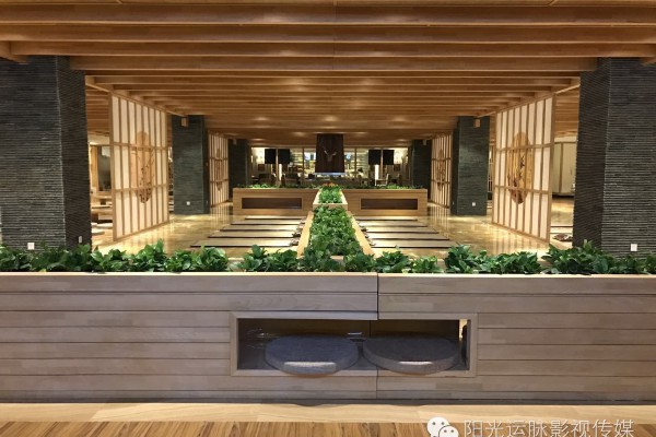 网络桑拿成都之选，安全养生两不误(成都桑拿价格)